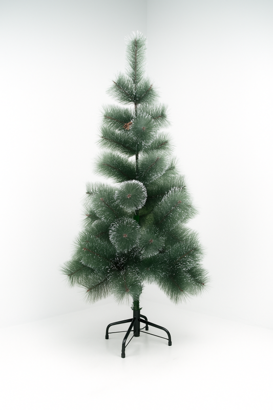 Сосна пушистая с инеем и шишками